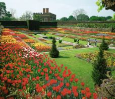 Garten Hampton Court London