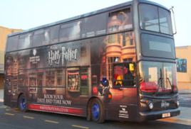 Warner Brothers Bustour