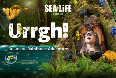 20398_MERLIN_SEALIFE-2018_RAINFOREST-KV_1820x1220mm_STG4_LANDSCAPE_CUTOUT_v2---NO-BOTTOM-BAR.jpg