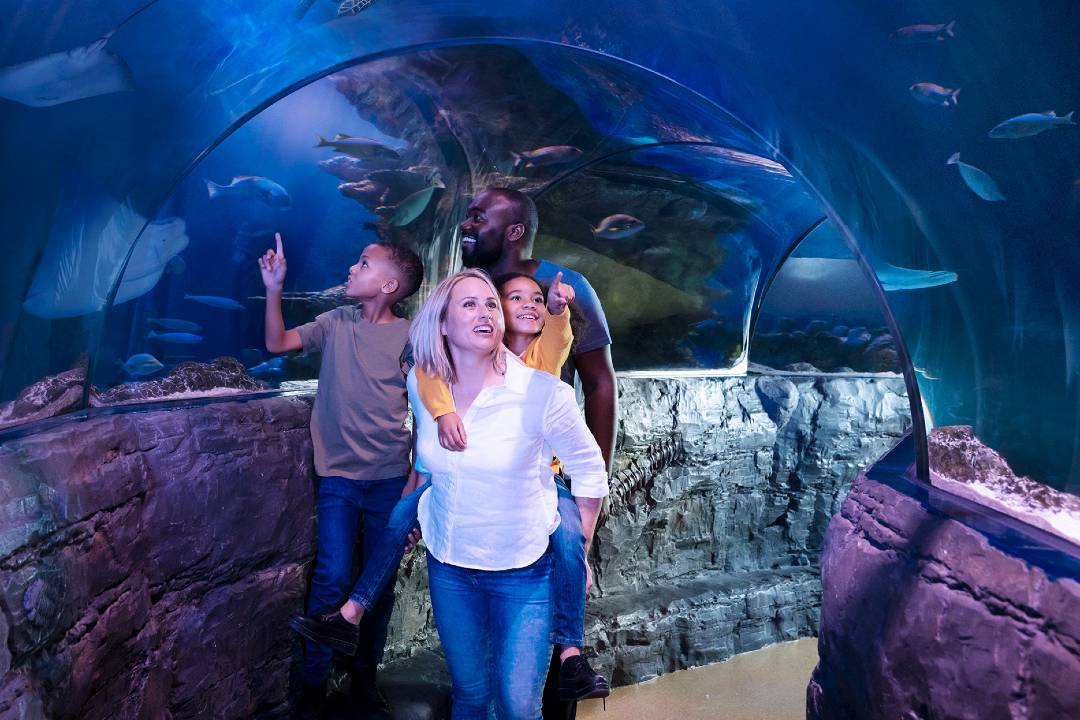 SEA LIFE London Aquarium